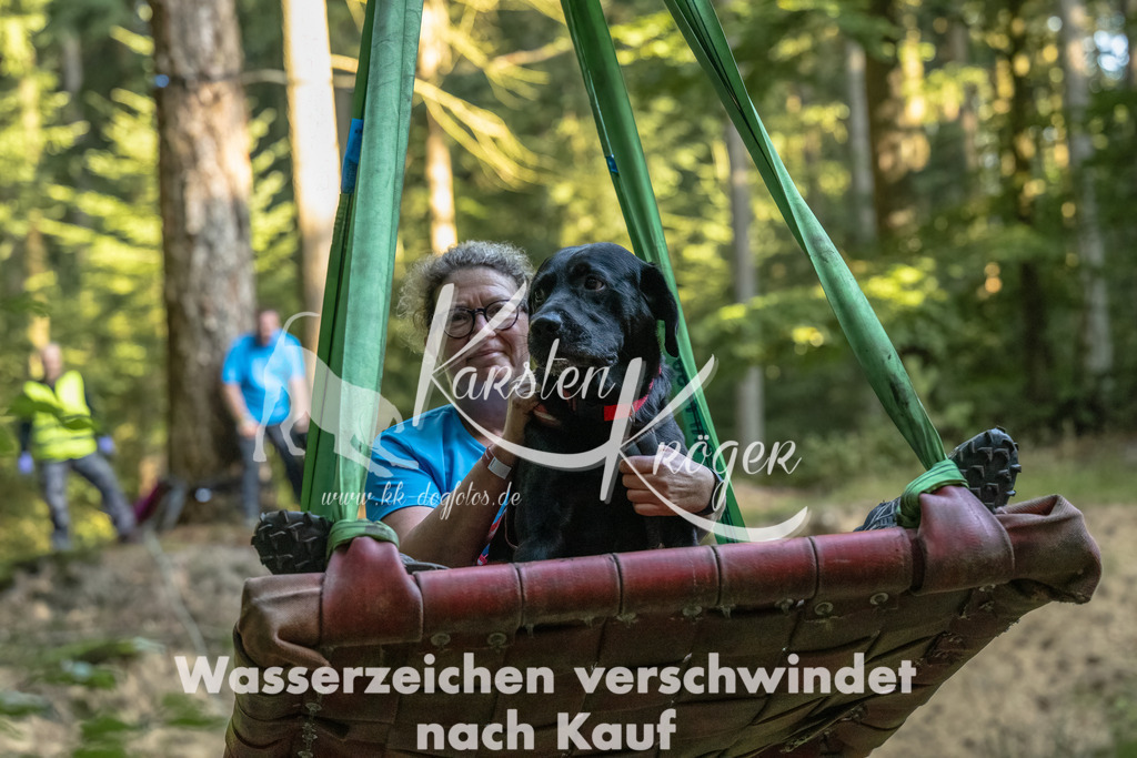 0931_ZZ91096-Bearbeitet | kk-dogfotos