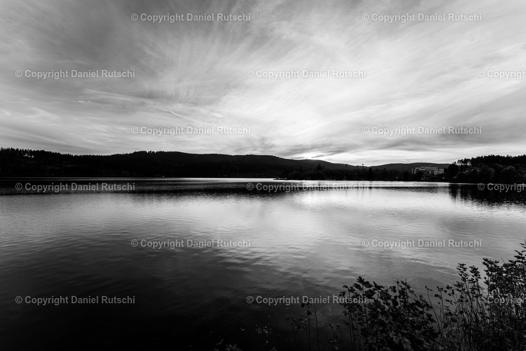 _DSC7756-Bearbeitet | rutschi_photography - Realisiert mit Pictrs.com