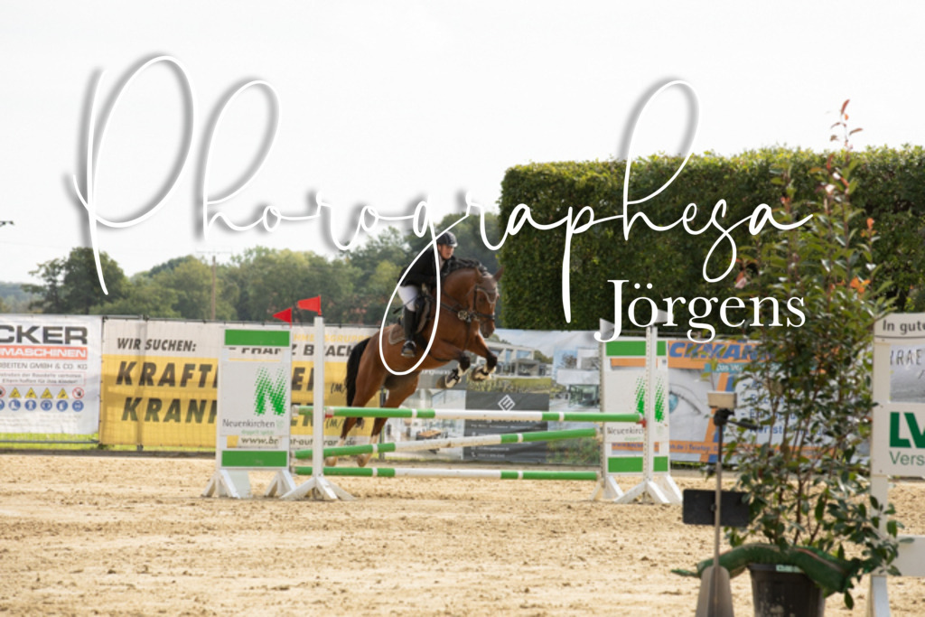 IMG_6618 | photographesa-joergens - Realisiert mit Pictrs.com