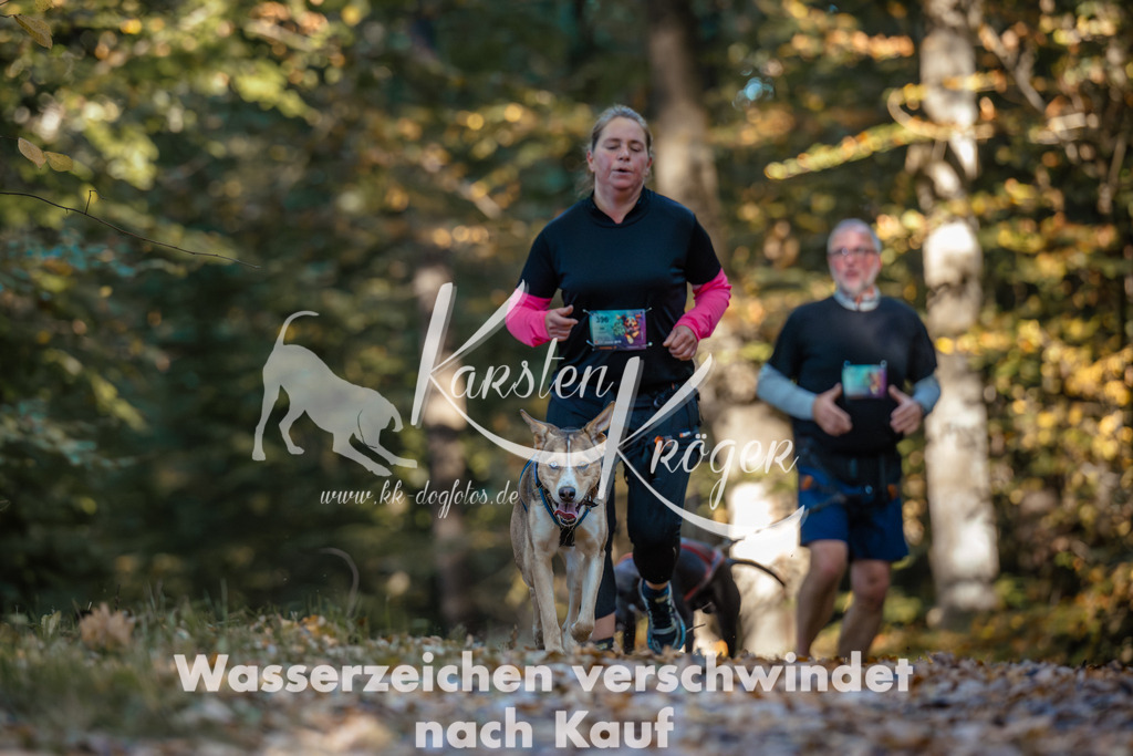 1029_ZZ99999 | kk-dogfotos