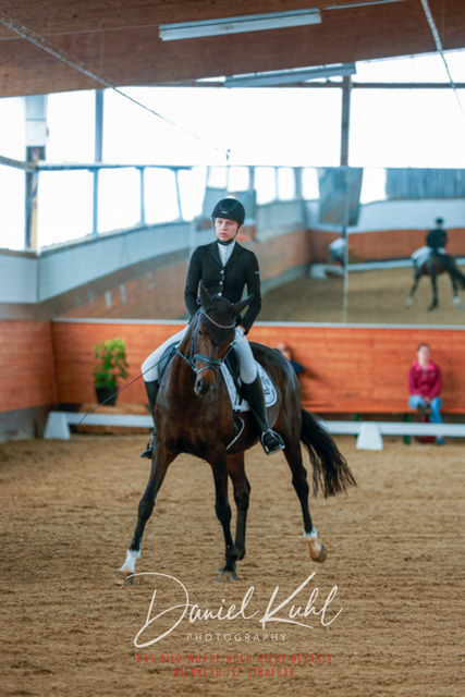 _62_5279 | Turniersportfotografie; Pferdefotografie; Dressurfotografie