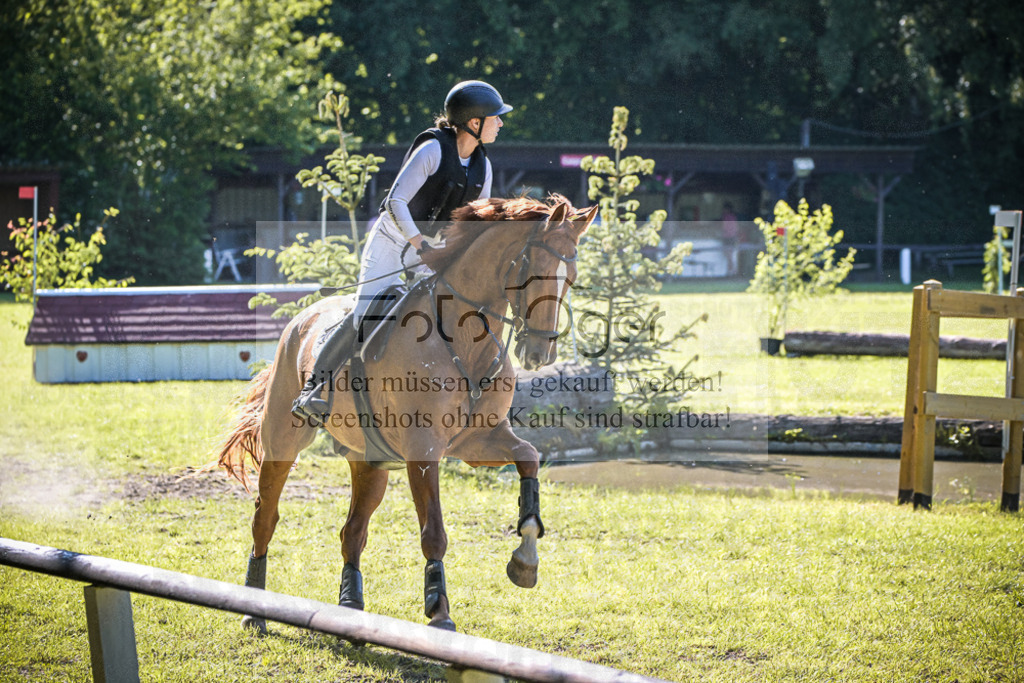 DOS_8242 | Entdecke hochwertige Reitturnierfotos von Foto Oger. Professionell, emotional und authentisch – jetzt Lieblingsmomente im Shop bestellen. - Realisiert mit Pictrs.com