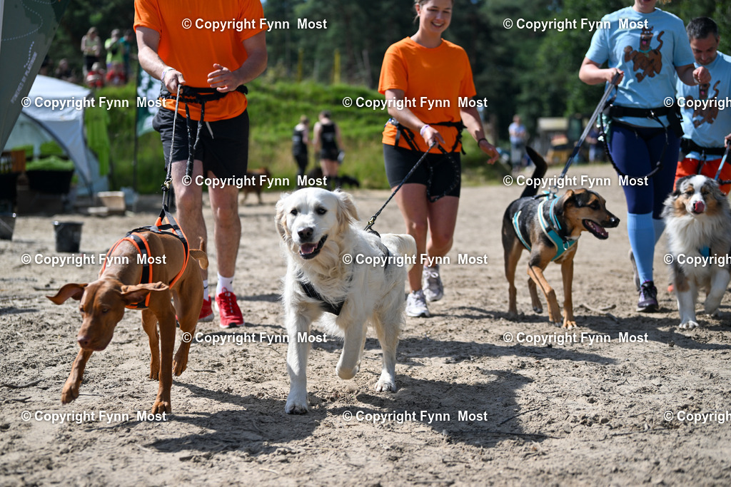 DSC_6741 | Hallo und herzlich Willkommen auf meiner Shop-Seite Fynn Most.

Ich wünsche Dir viel Spaß beim stöbern durch die Bilder, wenn Du Fragen hast oder Bilder vermisst, kannst du mir gerne eine Nachricht schreiben. - Realisiert mit Pictrs.com