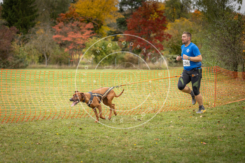 Pfotenfotografie_DV3A4439 | Hundefotografie, Tierfotograf, Pfotenfotografie, Fotoshooting Hund, Hunde Portrait, Hundesport, Hundeportraits, Heideshooting, Hunde, Sportfotograf, Hundefotograf, Turnierhundsport, THS,  - Realisiert mit Pictrs.com