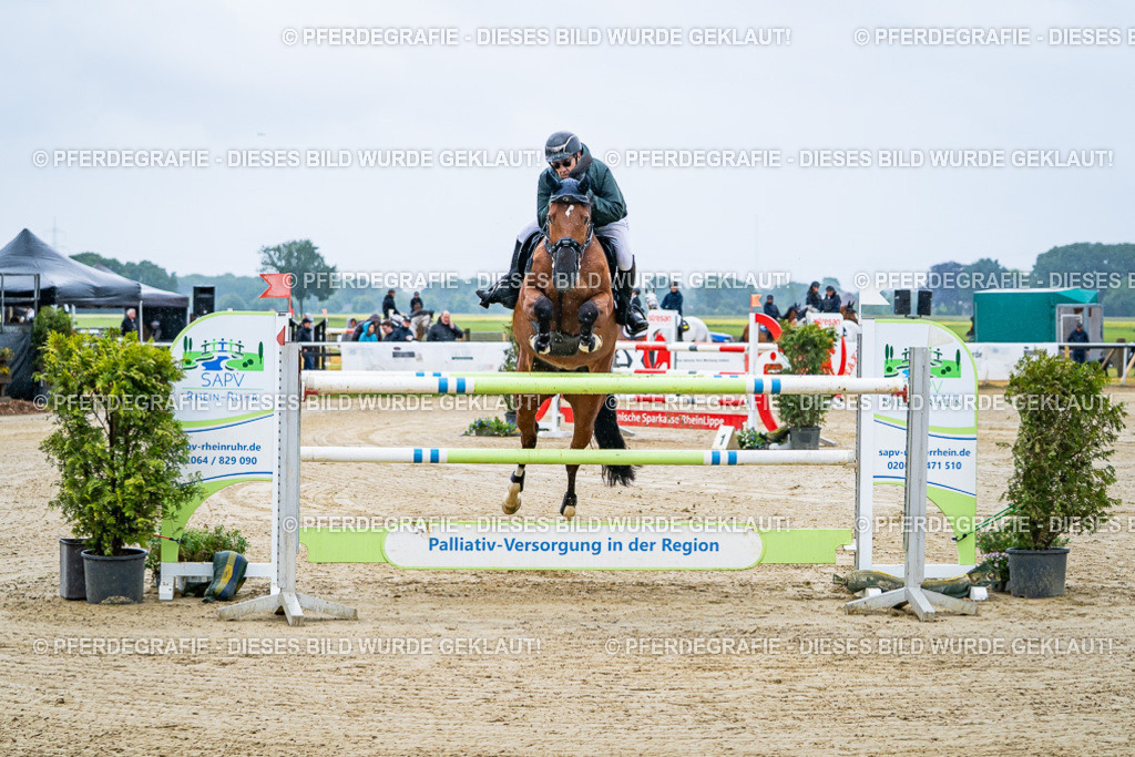 DSC09790 | Pferdegrafie