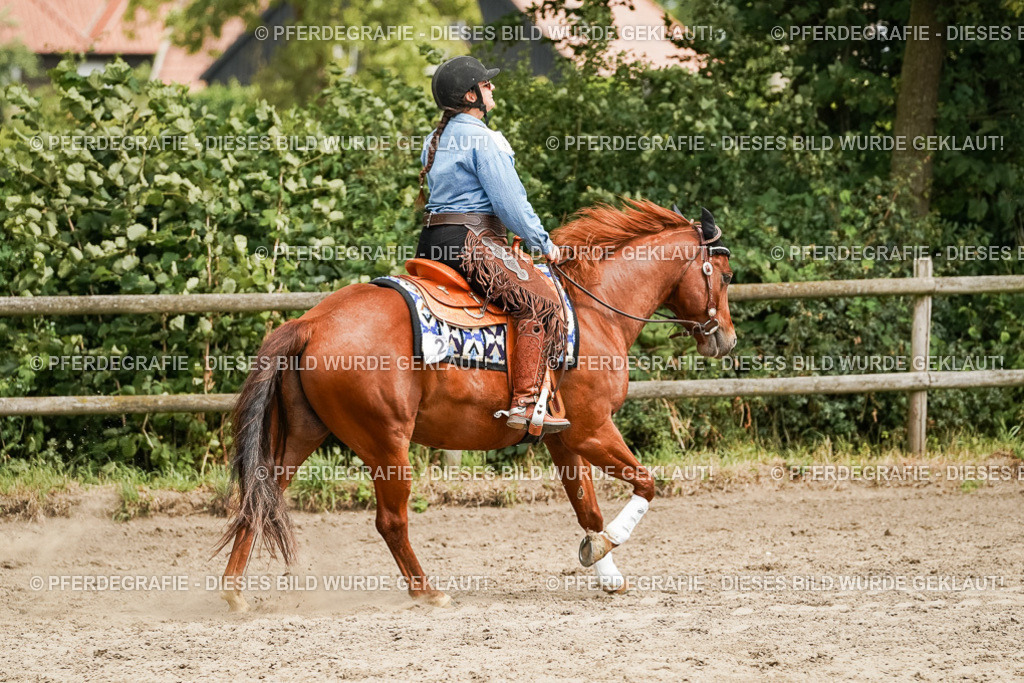 DSC00167 | Pferdegrafie