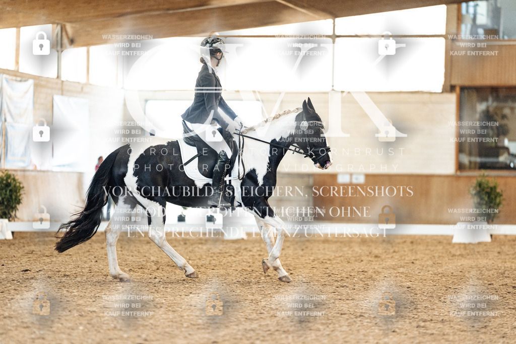 CK907663 | Turnierfotografie Pferdefotografie Trier Rheinland-Pfalz Pferdesport Reitsport Tierfotografie Sportfotografie Pferdevideo Pferdevideografie Equestrianvideography equestrianphotography  - Realisiert mit Pictrs.com