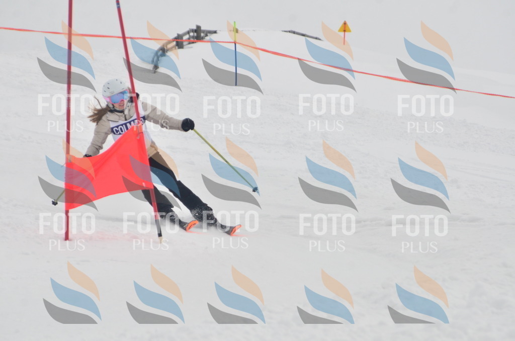 A5807 | holidayphoto