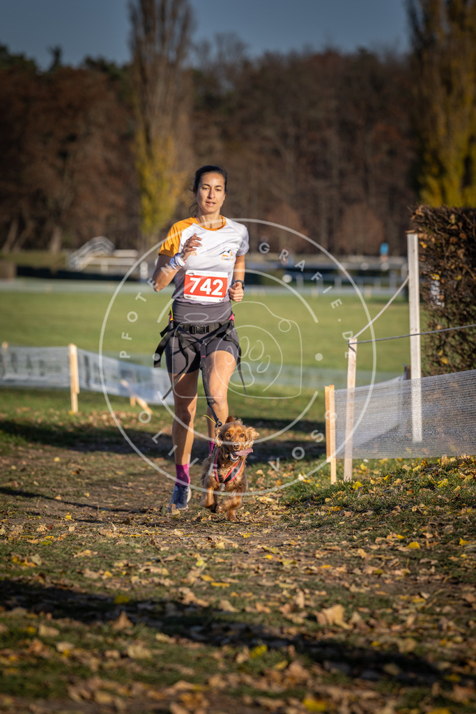 CaniXpix_DV3A2286 | Hundefotografie, Tierfotograf, Pfotenfotografie, Fotoshooting Hund, Hunde Portrait, Hundesport, Hundeportraits, Heideshooting, Hunde, Sportfotograf, Hundefotograf, Turnierhundsport, THS,  - Realisiert mit Pictrs.com