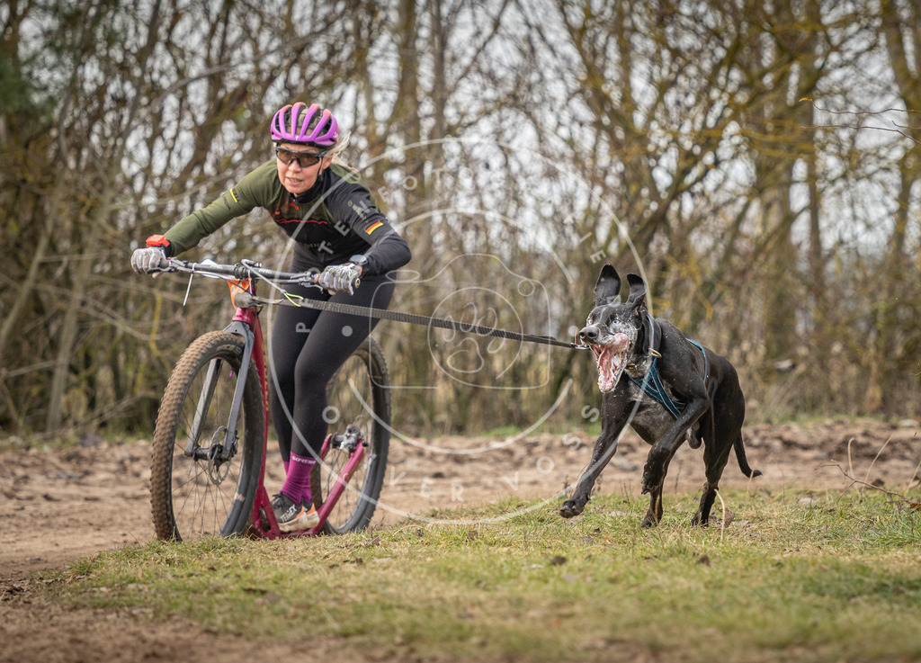Pfotenfotografie_DV3A9276 | Hundefotografie, Tierfotograf, Pfotenfotografie, Fotoshooting Hund, Hunde Portrait, Hundesport, Hundeportraits, Heideshooting, Hunde, Sportfotograf, Hundefotograf, Turnierhundsport, THS,  - Realisiert mit Pictrs.com