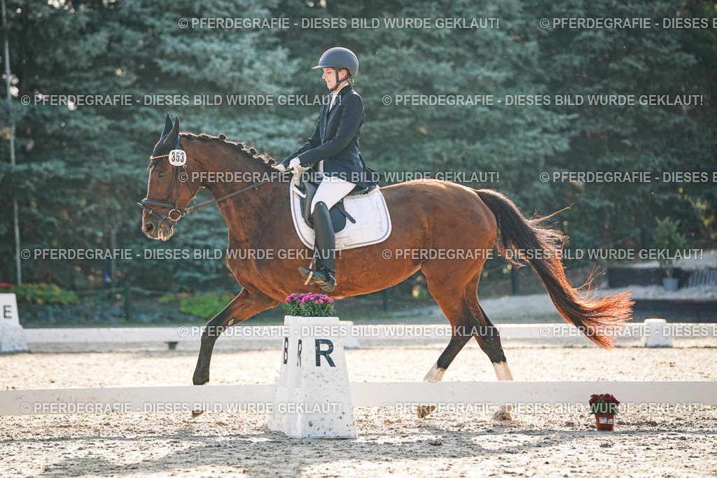 DSC07936 | Pferdegrafie