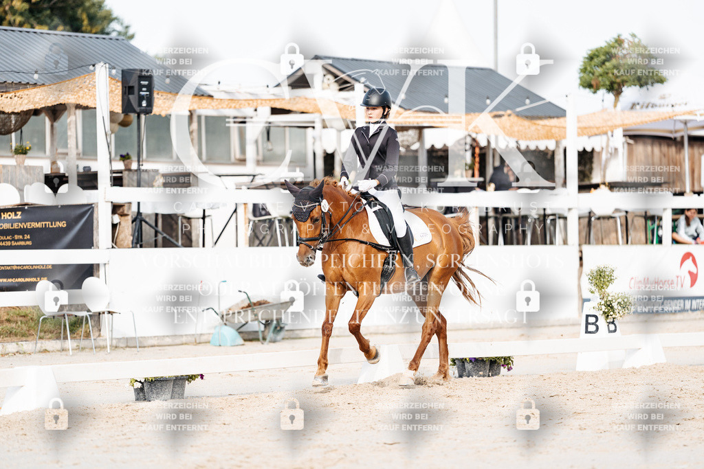 CK904571 | Turnierfotografie Pferdefotografie Trier Rheinland-Pfalz Pferdesport Reitsport Tierfotografie Sportfotografie Pferdevideo Pferdevideografie Equestrianvideography equestrianphotography  - Realisiert mit Pictrs.com