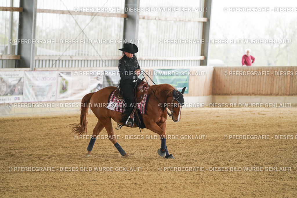 DSC07008 | Pferdegrafie