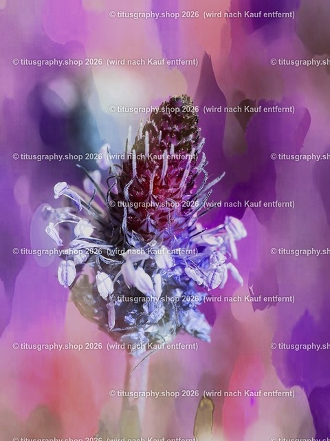 titusgraphy_P8190626-vz-ln_pe | titusgraphy-shop: Geschenkideen mit Qualitätsfotos. titusgraphy-shop: gift ideas with quality photos. titusgraphy-shop: idées cadeaux avec photos de qualité.  - Realisiert mit Pictrs.com