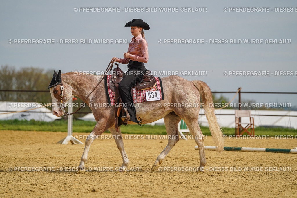 DSC04175 | Pferdegrafie