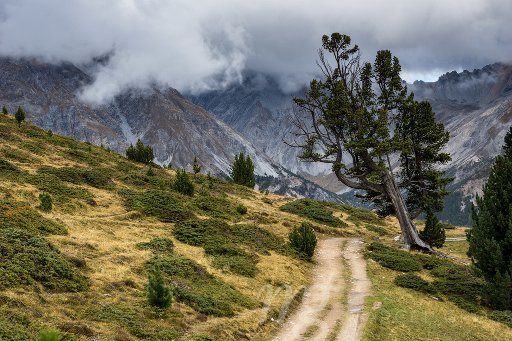 a remote valley in Engadine on a moody fall day | Die ideale Geschenkidee für Naturliebhaber. Naturbilder von Marcel Gross Photography für ihr Zuhause in den verschiedensten Formaten und Materialien. - Realisiert mit Pictrs.com