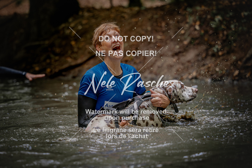 nelerasche_SaWingst1200-1230_289 | nelerasche