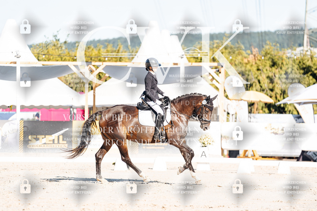 CK907243 | Turnierfotografie Pferdefotografie Trier Rheinland-Pfalz Pferdesport Reitsport Tierfotografie Sportfotografie Pferdevideo Pferdevideografie Equestrianvideography equestrianphotography  - Realisiert mit Pictrs.com