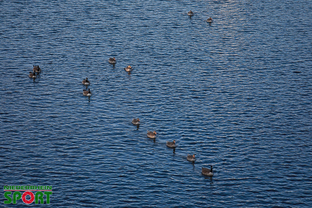 Drachenboot-Training_Wedau110625_005 | Bildergalerie von Sport-Ereignissen aber auch von weiteren spannenden Dingen - nicht nur vom Niederrhein. In Anlehnung an den bekannten Spruch von Hanns Dieter Hüsch heißt das Motto: "Niederrhein ist überall".  - Realisiert mit Pictrs.com