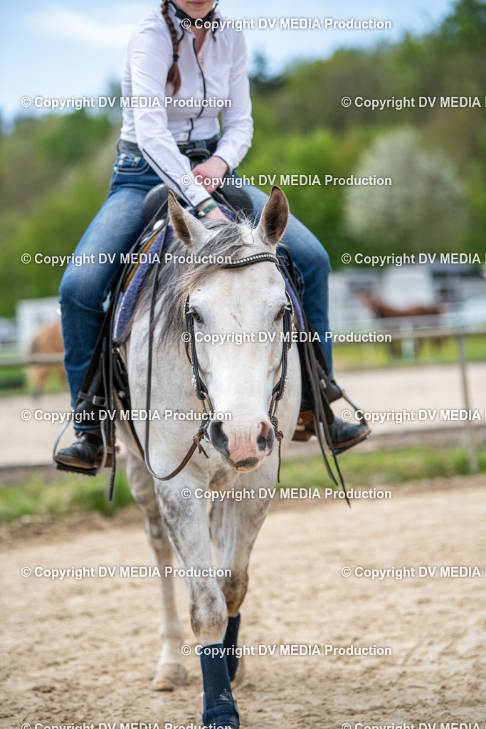 Heiligenwald Tag 2-1672 | dv-media-shop - Realisiert mit Pictrs.com