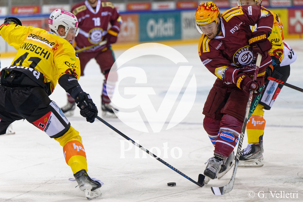 DSC_6314 | Velletri Photo