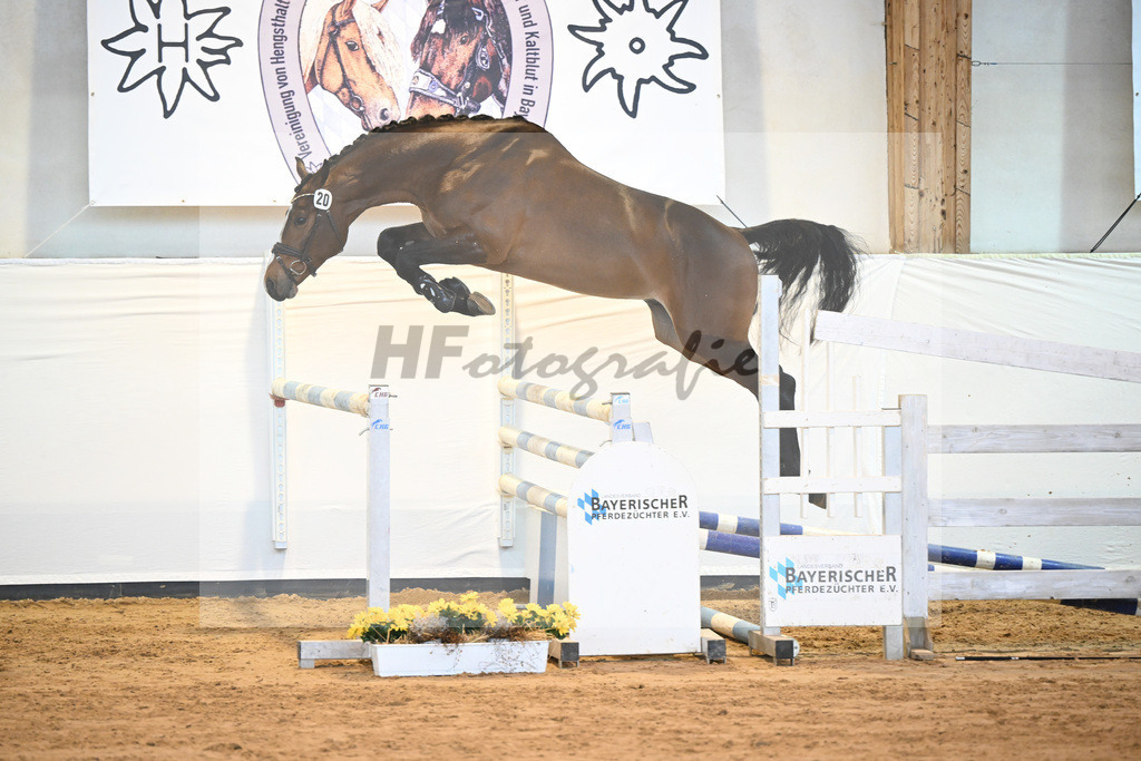 Kat-Nr. 20 v. Million Dollar_Eisenrieder_2230454 | hf-fotografie - Realisiert mit Pictrs.com