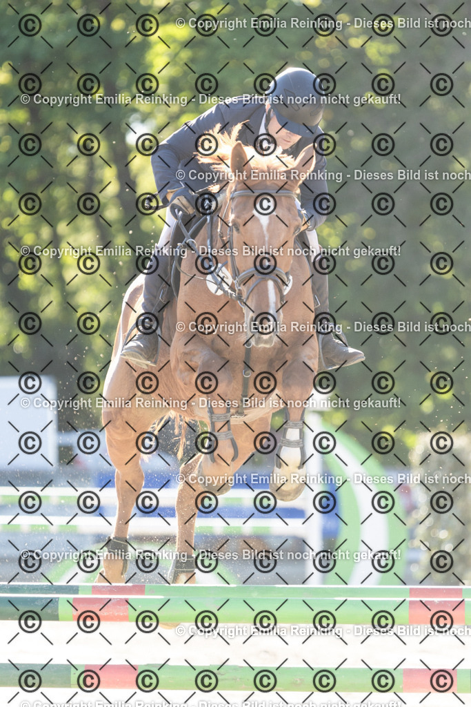 CL5A3517 | Emilia Reinking Fotografie - Realisiert mit Pictrs.com