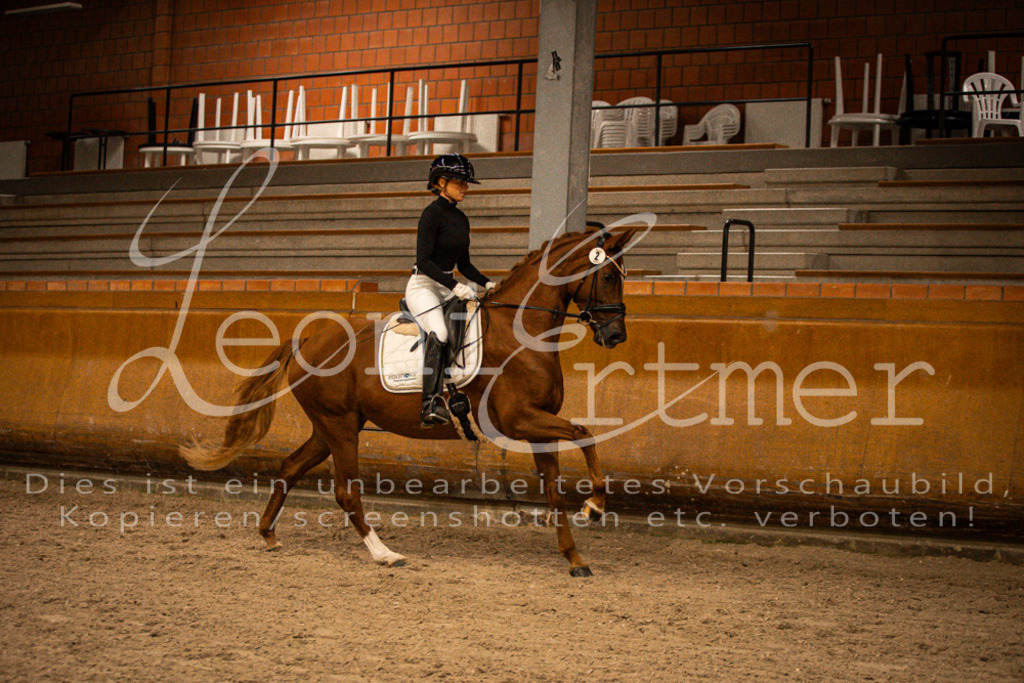 1Reiten00132 | Leoni Ertmer Photography - Realisiert mit Pictrs.com