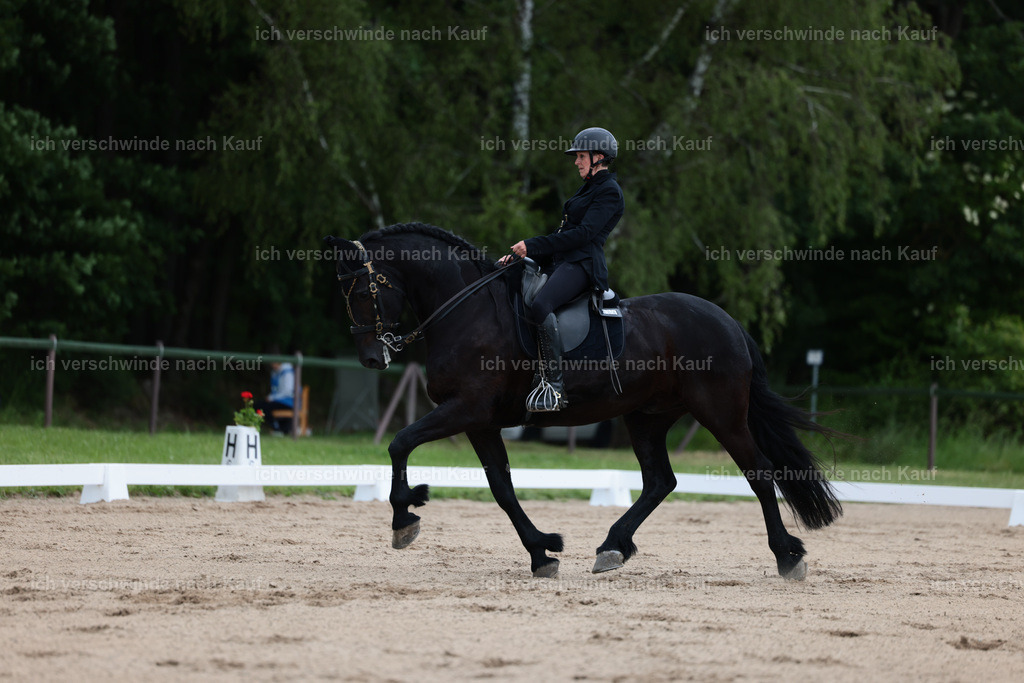 KlasseM_Stoibphotography_C2_L6174.JPG | working equitationturnier fotograf videograf stoibphotography marixx film working equitation deutschland reitsport turnierfotografie eventfotografie equestrian events