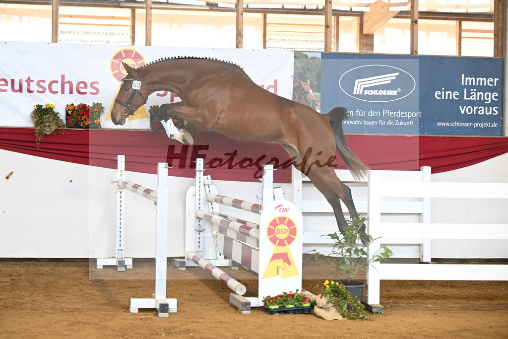 Kat-Nr. 43 Ehawee v. Colestus_Fischer_16251016 | hf-fotografie - Realisiert mit Pictrs.com