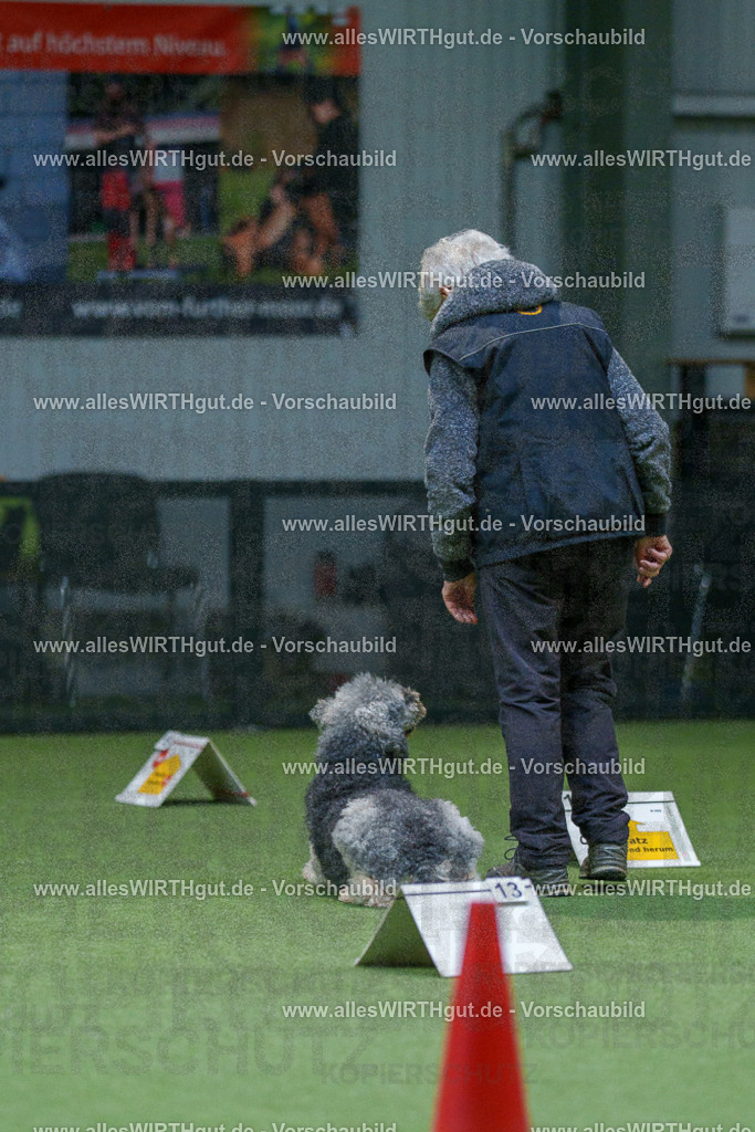 7R501264 | Professionelle Tierfotografie in Mönchengladbach von Daniel Wirth (allesWIRTHgut). Liebevolle & natürliche Bilder von Hunden & Katzen für unvergessliche Erinnerungen.