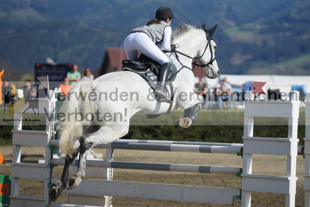 DSC03308 | equestrian-live-com