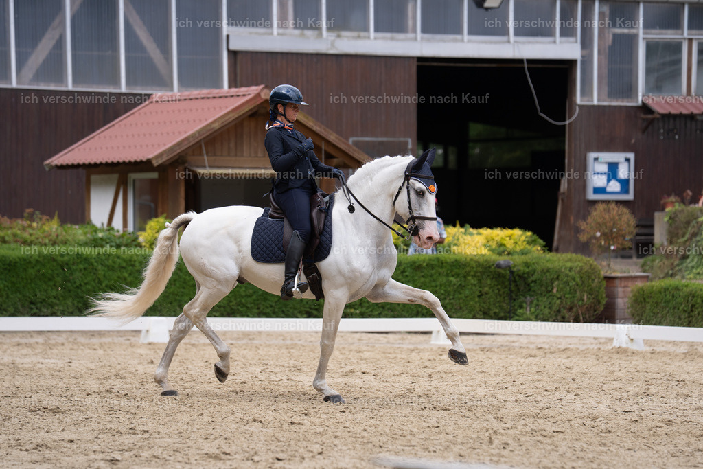 WS_DR_52_SinaFilmArt_IN01461 | working equitationturnier fotograf videograf stoibphotography marixx film working equitation deutschland reitsport turnierfotografie eventfotografie equestrian events