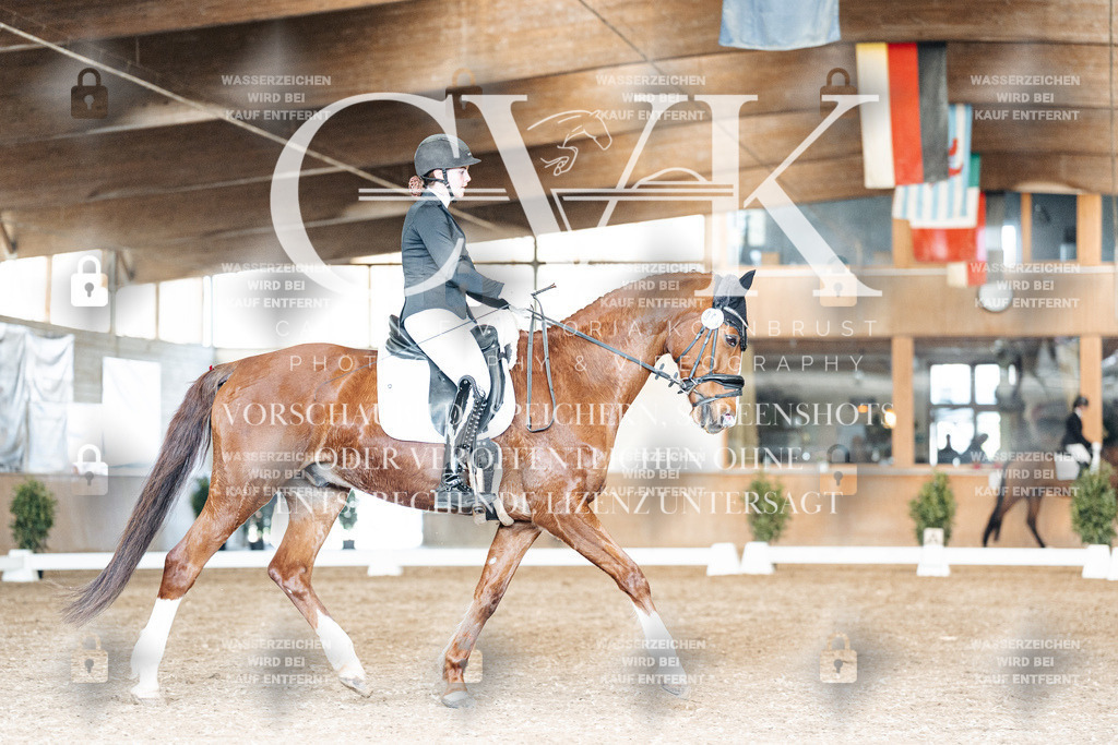 CK901709 | Turnierfotografie Pferdefotografie Trier Rheinland-Pfalz Pferdesport Reitsport Tierfotografie Sportfotografie Pferdevideo Pferdevideografie Equestrianvideography equestrianphotography  - Realisiert mit Pictrs.com