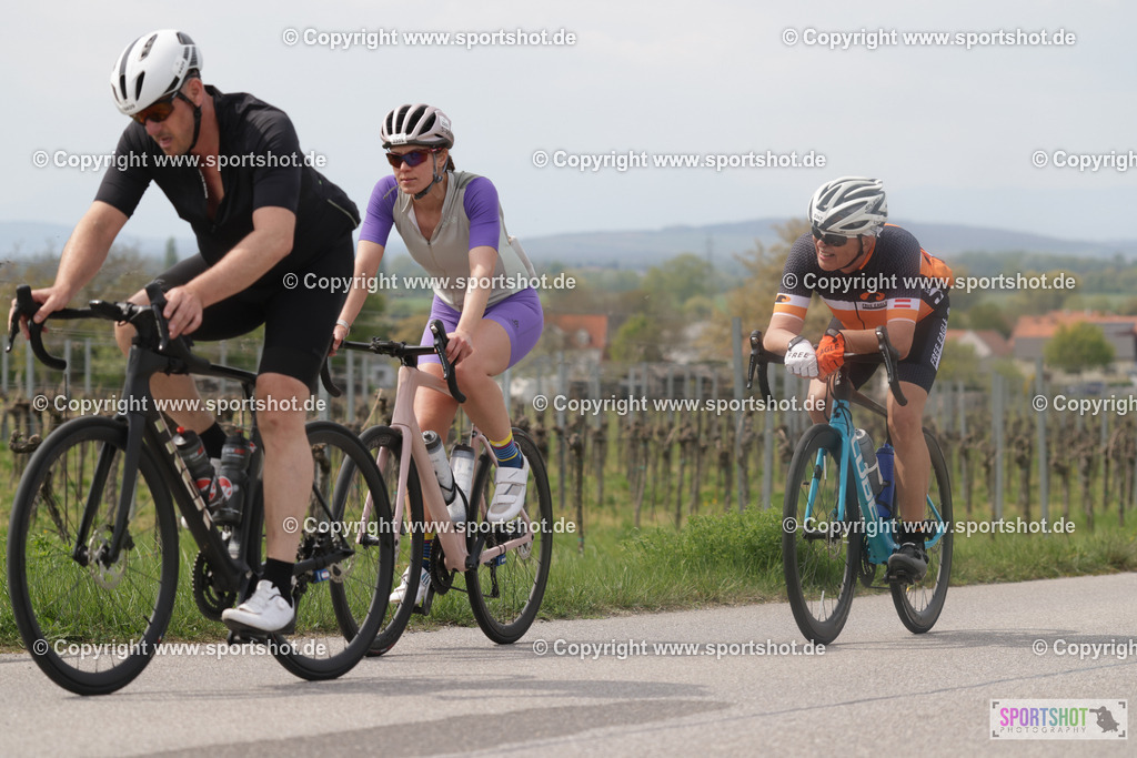 368A5323 | Neusiedlersee Radmarathon 2026@sportshot_your_pictrs #yourpictures#roadtowm2029 #nrm #neusiedlerseeradmarathon #neusiedlersee #neusiedlerseetourismus #burgenland #mörbisch #nrm26 #burgenlandtourismus #voglundco #poweredbyburgenlandtourismus #radsport #rad #marathon #ucigranfondo #visitburgenland #ucigranfondoworldseries