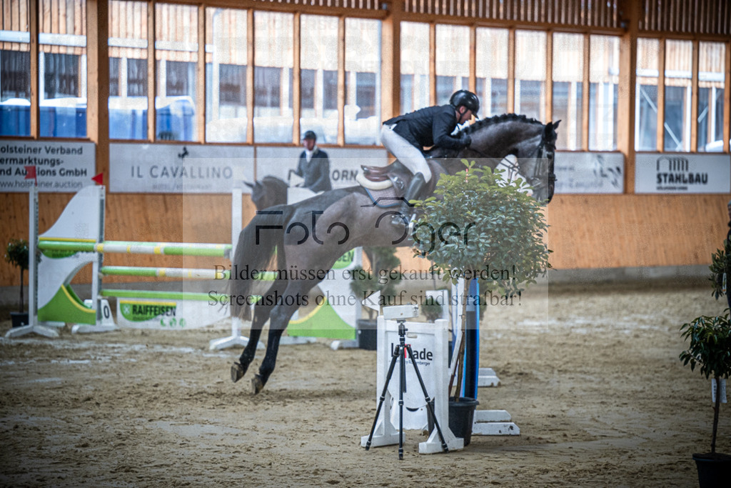 DOS_2453 | Entdecke hochwertige Reitturnierfotos von Foto Oger. Professionell, emotional und authentisch – jetzt Lieblingsmomente im Shop bestellen.Deutschlandweite Turnierfotografie. - Realisiert mit Pictrs.com