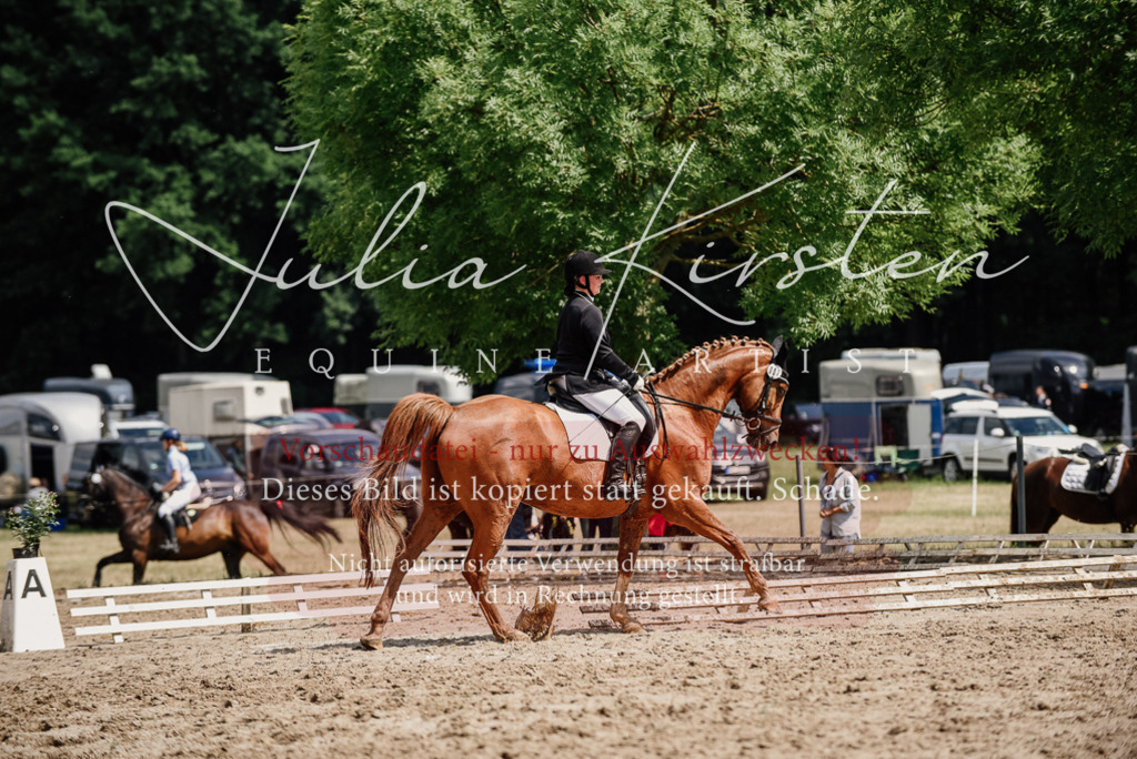DSC_0702 | Pferde- und Turnierfotografie in Westsachsen. Pferdeportraits, Auftragszeichnungen und intuitive Kunst.