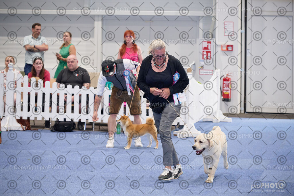 202406_ÖKV-IHA-Tulln24_NZ9_7764 | proPHOTO - Realisiert mit Pictrs.com