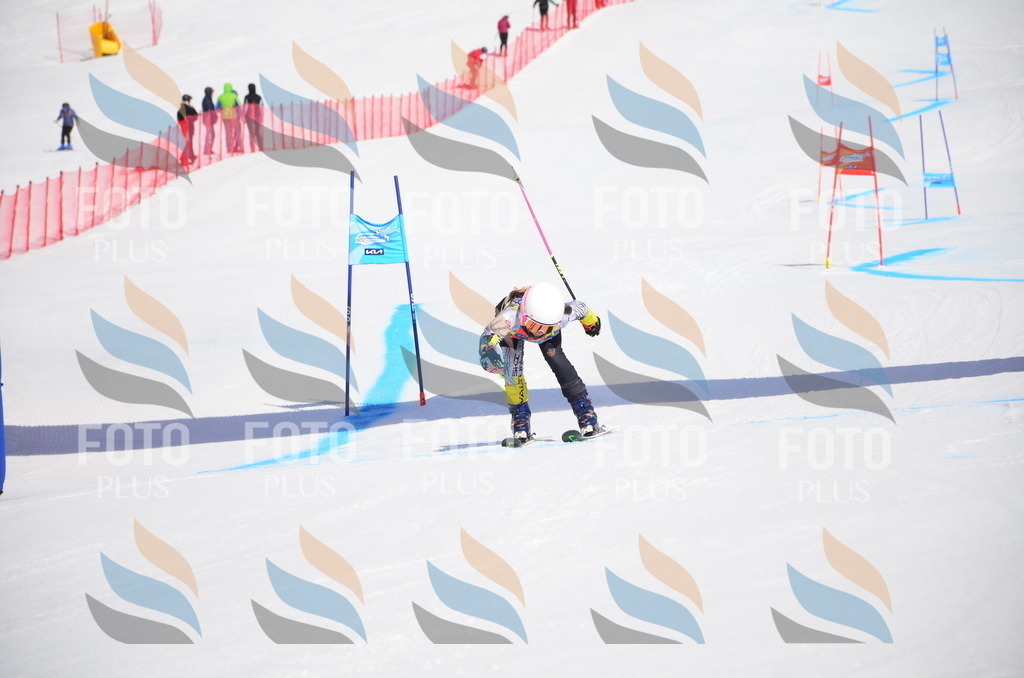 VR4_9962 | holidayphoto