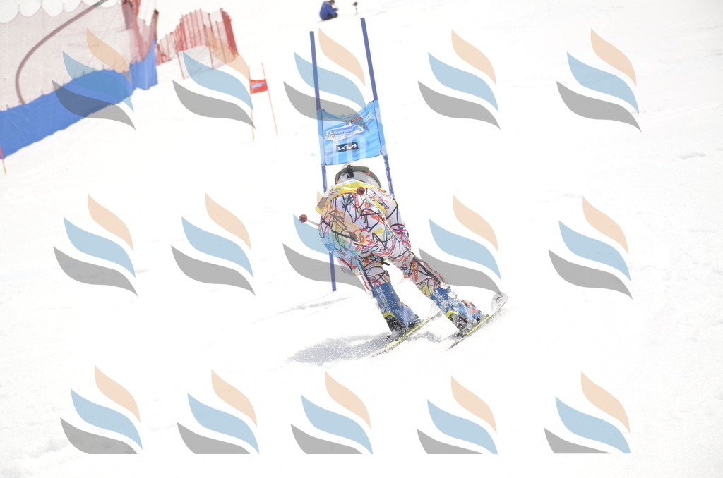 _ELE8730 | holidayphoto