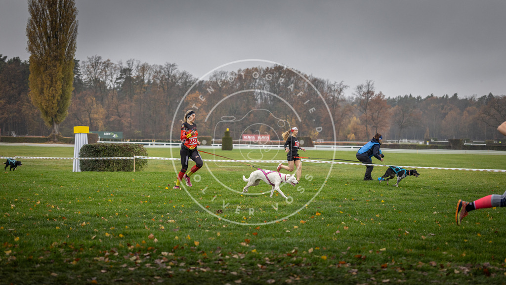 CaniXpix_DV3A8880 | Hundefotografie, Tierfotograf, Pfotenfotografie, Fotoshooting Hund, Hunde Portrait, Hundesport, Hundeportraits, Heideshooting, Hunde, Sportfotograf, Hundefotograf, Turnierhundsport, THS,  - Realisiert mit Pictrs.com
