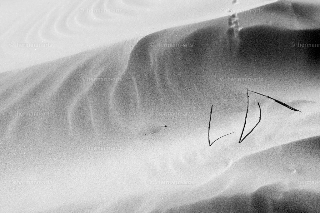 Hermann-Arts_Seaside_265 | Photo Foto Kunst Art schwarzweiss Bilder Rheine Münster Berlin Blumen 