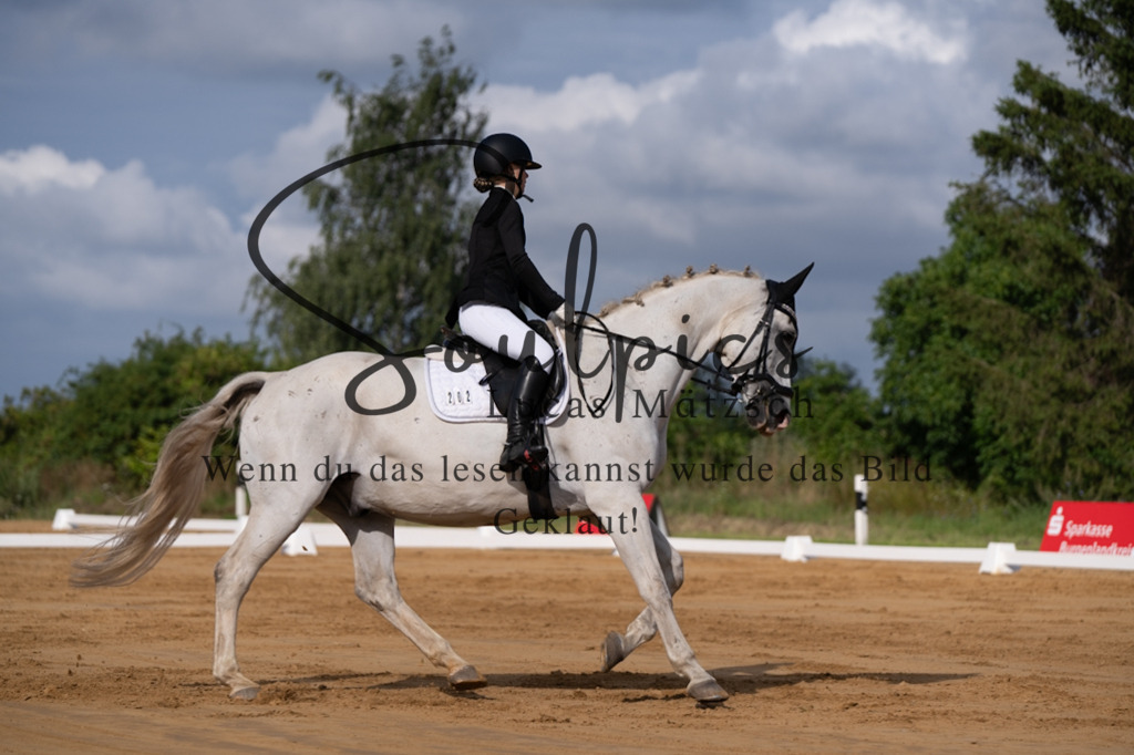 A7V05147 | Pferdefotograf