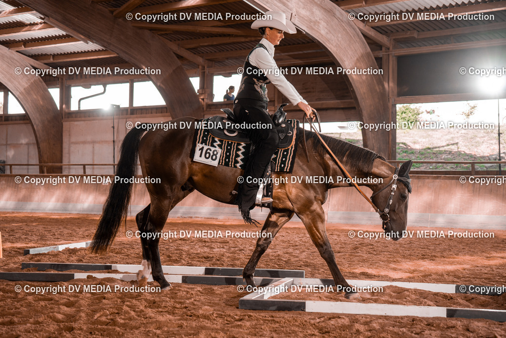 NE200148 | dv-media-shop - Realisiert mit Pictrs.com