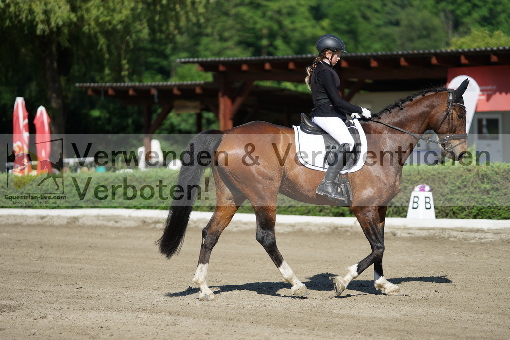 DSC04241 | equestrian-live-com