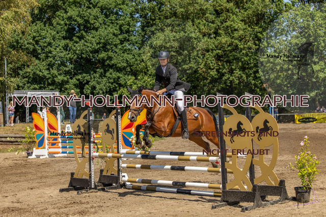 26-8-8 SPR Stil A+ 90cm-123 | mandyhollmannphotographie
