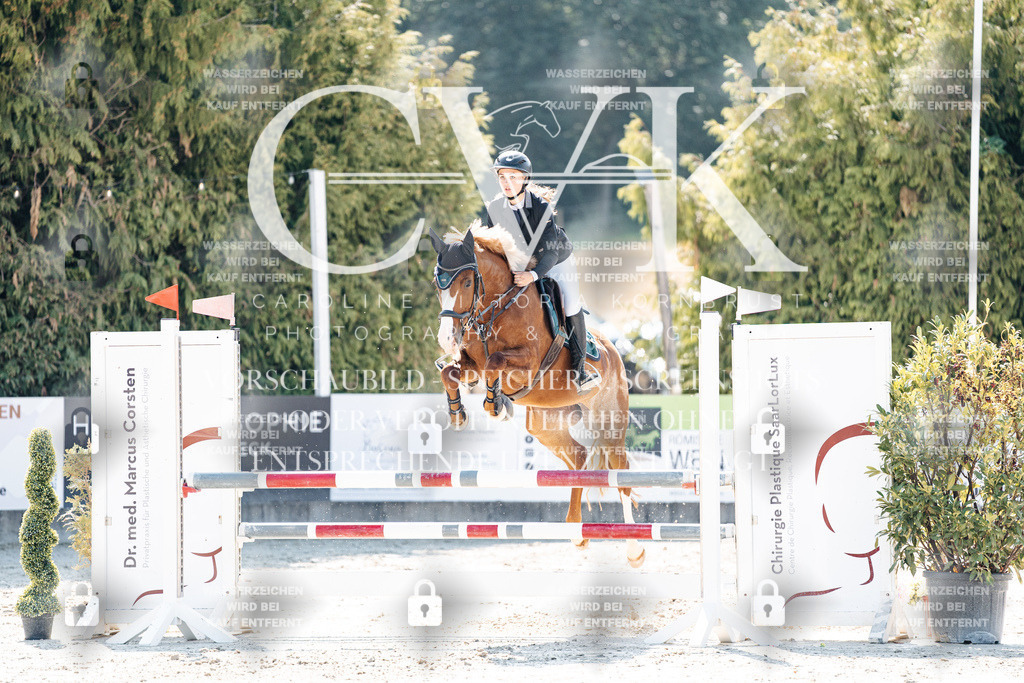 CK908229 | Turnierfotografie Pferdefotografie Trier Rheinland-Pfalz Pferdesport Reitsport Tierfotografie Sportfotografie Pferdevideo Pferdevideografie Equestrianvideography equestrianphotography  - Realisiert mit Pictrs.com