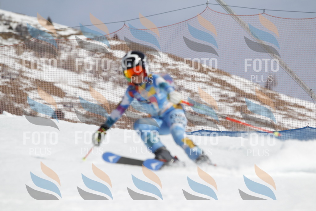 _U3G1562 | holidayphoto