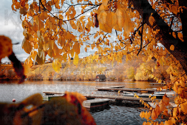 _DSF5915 | "Entdecken Sie atemberaubende Bilder von Stuttgart im Fotowerk Stuttgart! Kaufen Sie hochwertige Fotos auf Leinwand oder laden Sie digitale Downloads für Ihre Wohnung oder Büros herunter.  - Realisiert mit Pictrs.com