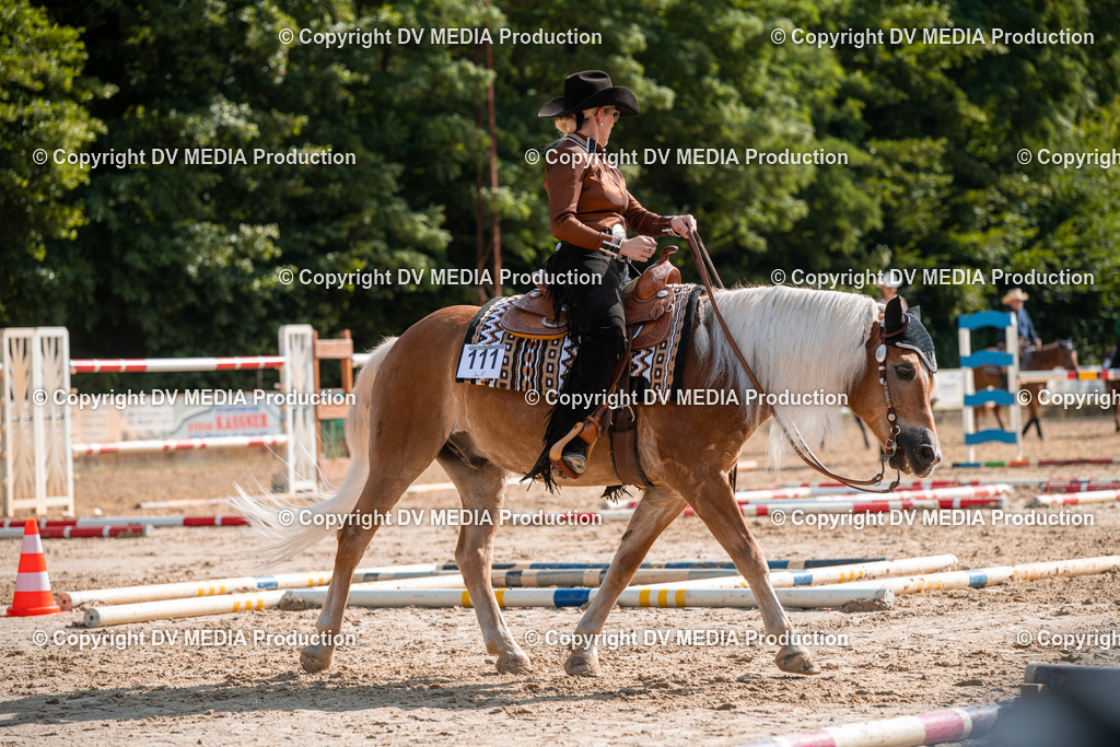 ZS3_9266 | dv-media-shop - Realisiert mit Pictrs.com